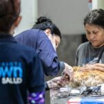 ZOONOSIS BROWN LANZA UN NUEVO SERVICIO ANTIRRÁBICO Y PROFUNDIZA SU DESCENTRALIZACIÓN 